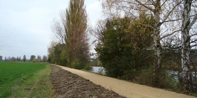 SPCH - Projet de rehaussement de la berge Neuchâteloise de la Thielle